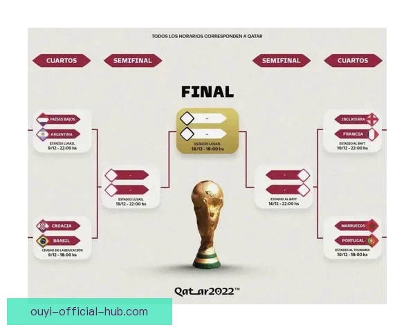 世界杯竞猜赔率全解析及赛果预测指南全面汇总