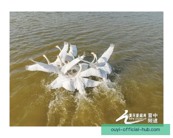 三千跑者逐梦榆社云竹湖 生态人文赛道绘就文旅新画卷 三千跑者逐梦榆社云竹湖 生态人文赛道绘就文旅新画卷